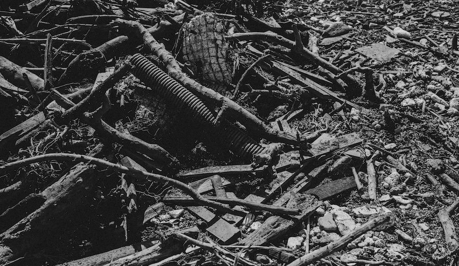 Photo: <a href=\"https://www.swelldani.com/\"> Daniela Fernandez </a>