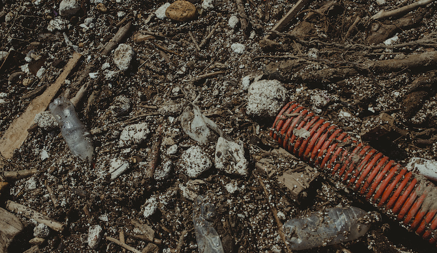 Photo: <a href=\"https://www.swelldani.com/\"> Daniela Fernandez </a>