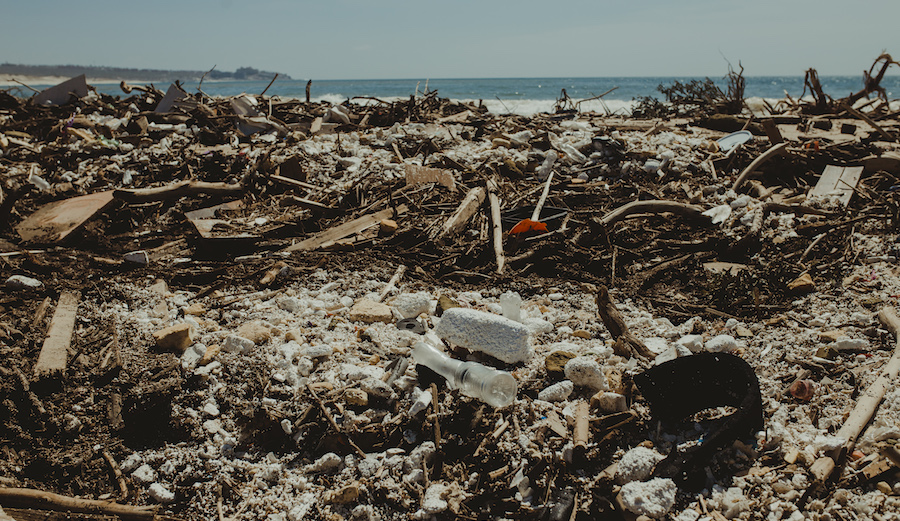 Photo: <a href=\"https://www.swelldani.com/\"> Daniela Fernandez </a>