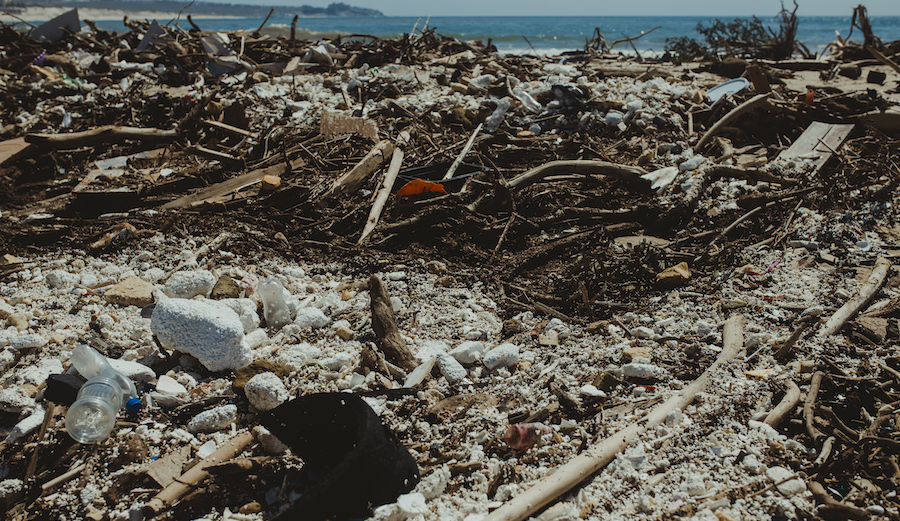 Photo: <a href=\"https://www.swelldani.com/\"> Daniela Fernandez </a>