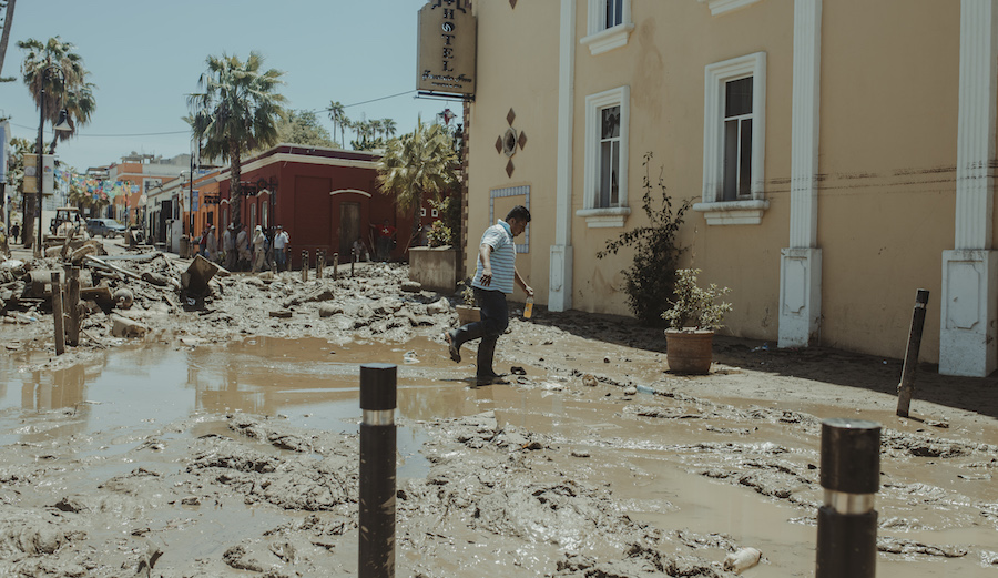 Photo: <a href=\"https://www.swelldani.com/\"> Daniela Fernandez </a>