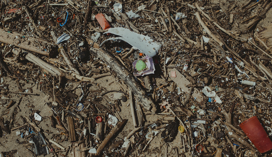 Photo: <a href=\"https://www.swelldani.com/\"> Daniela Fernandez </a>