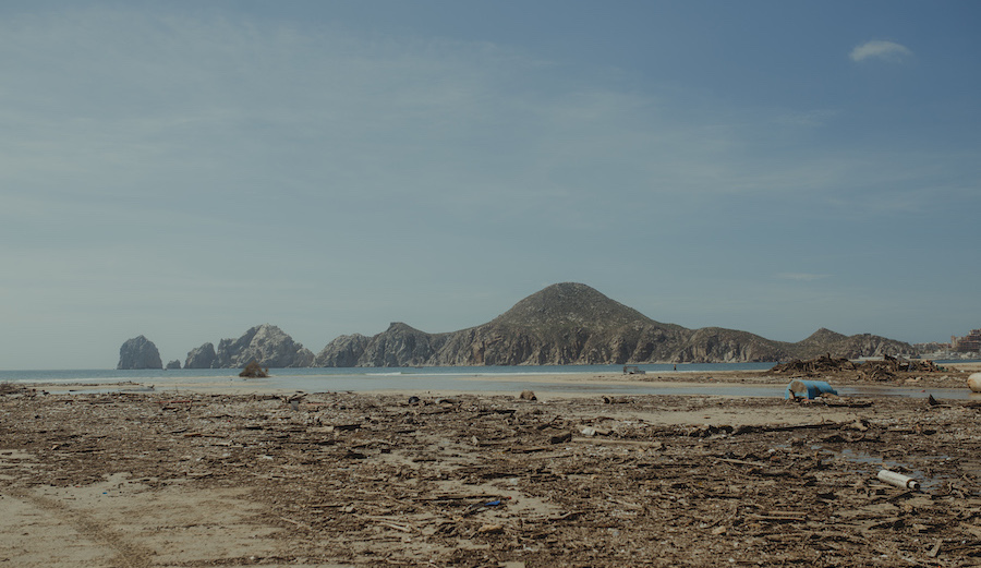 Photo: <a href=\"https://www.swelldani.com/\"> Daniela Fernandez </a>