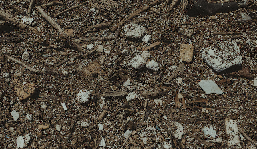 Photo: <a href=\"https://www.swelldani.com/\"> Daniela Fernandez </a>