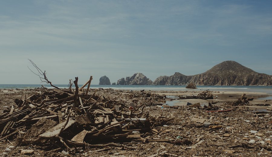 Photo: <a href=\"https://www.swelldani.com/\"> Daniela Fernandez </a>