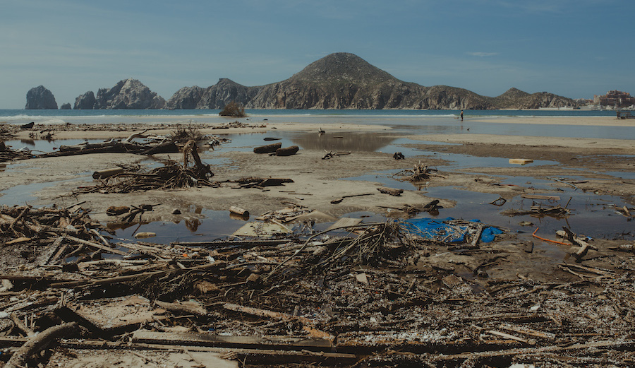 Photo: <a href=\"https://www.swelldani.com/\"> Daniela Fernandez </a>