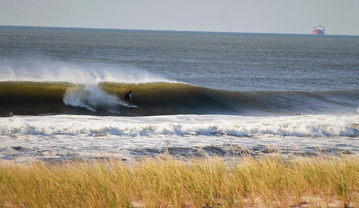 Photo: Brian Shannon