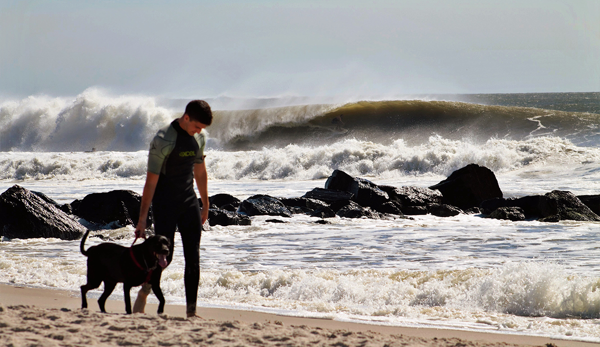 Photo: Brian Shannon