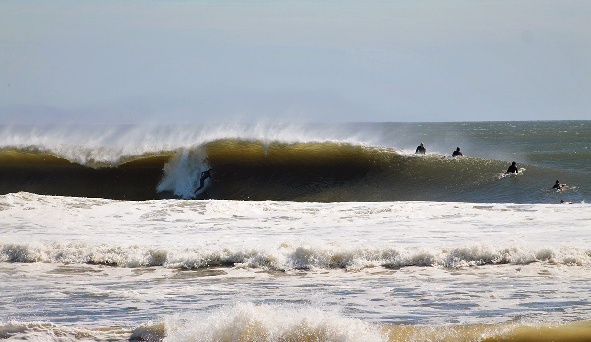 Photo: Brian Shannon