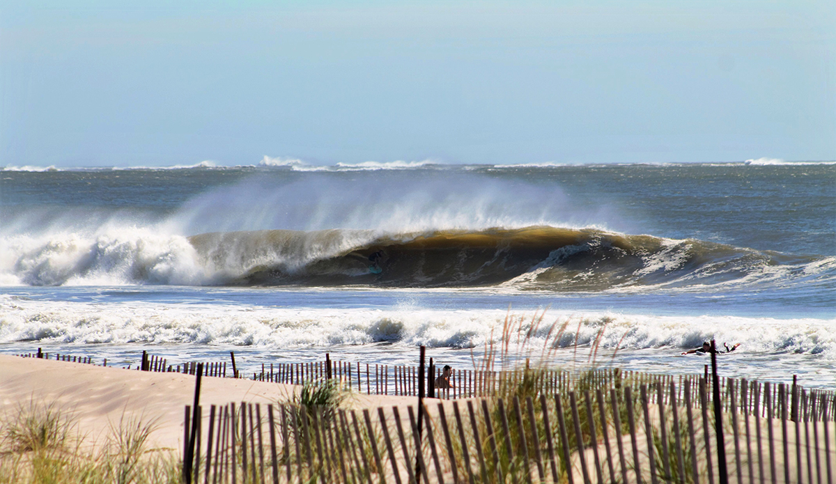 Photo: Brian Shannon