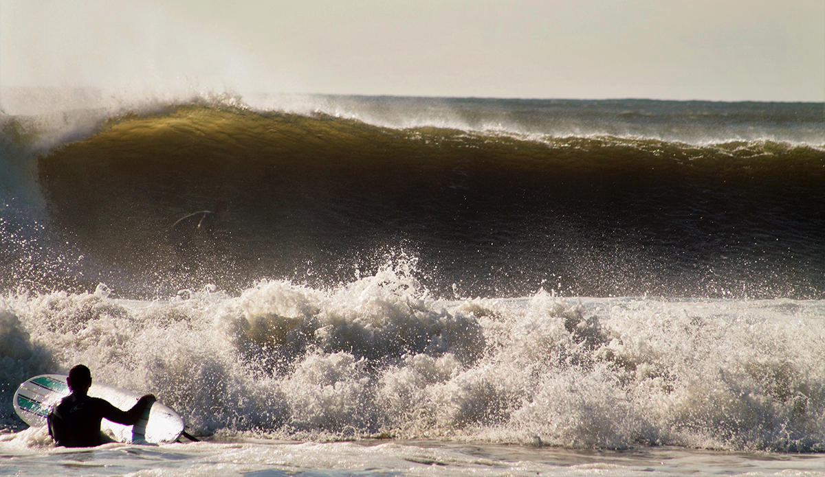 Photo: Brian Shannon