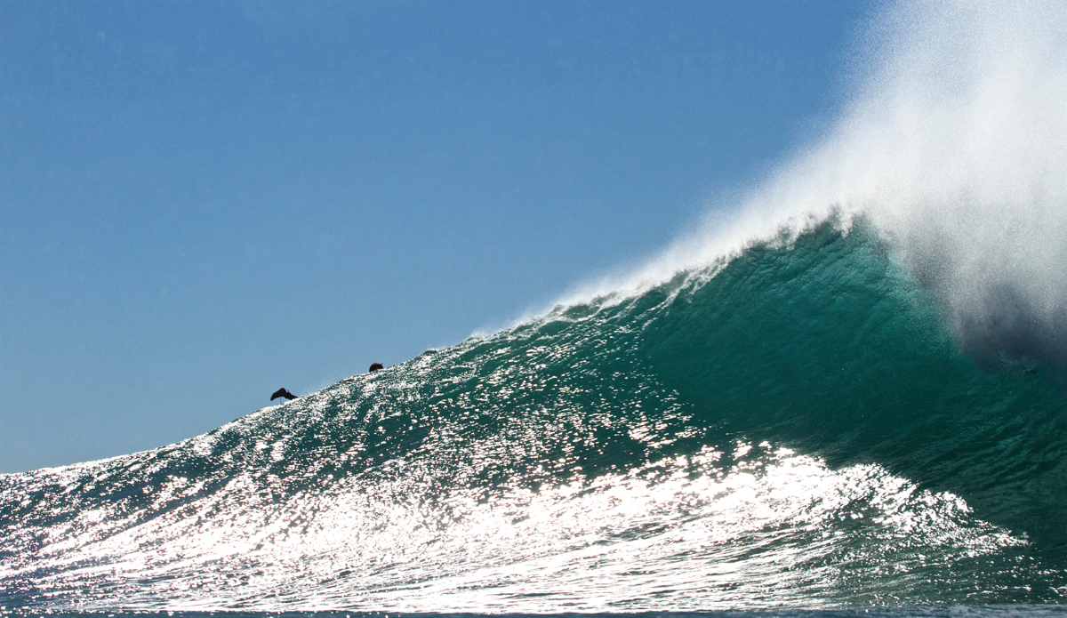 Backdoor comes to Blacks. Photo: <a href=\"https://instagram.com/abakkedahl_photography\">@abakkedahl_photo