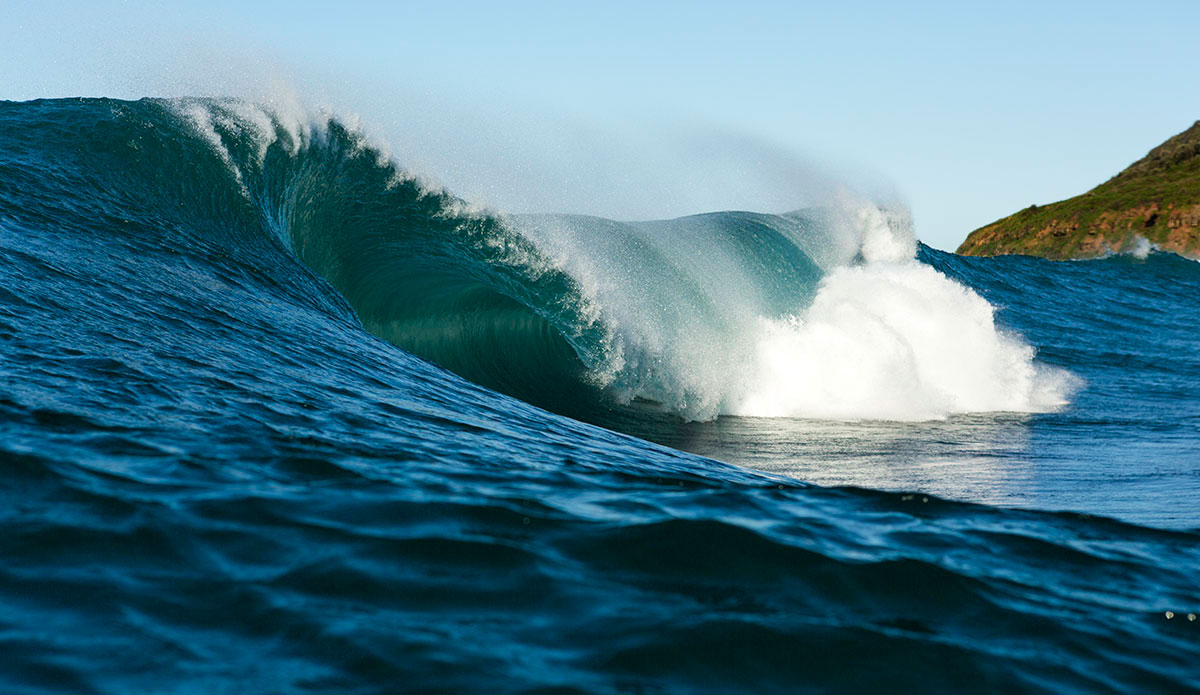 Getting toothy at a local break. Photo: Ian Tyley