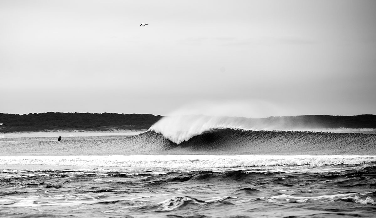 \"Search and you shall find.\" Photo: Ian Tyley One of my favorite photos.