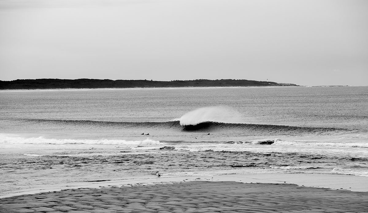 Line up of the day. Photo: Ian Tyley