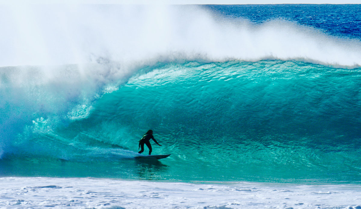 Imogen, at home at Red Bluff, doing what she does best.  Photo: <a href=\"https://www.morganmaassen.com/\">Morgan Maassen</a>