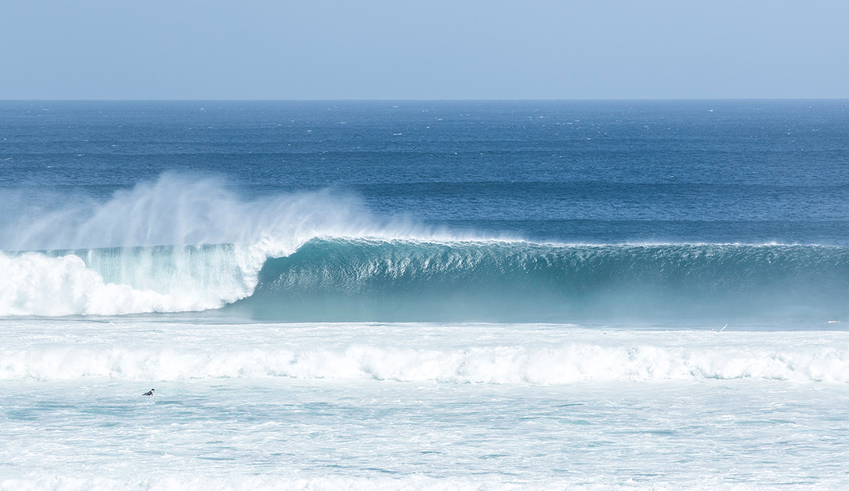 Photo: Federico Vanno / <a href=\"https://www.instagram.com/liquidbarrel\">@LiquidBarrel</a>