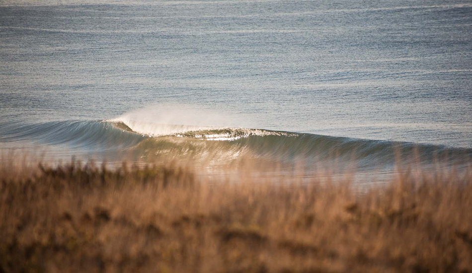 Photo:<a href=\"https://www.brycejohnson.com/\" target=_blank>Bryce Johnson.</a> 