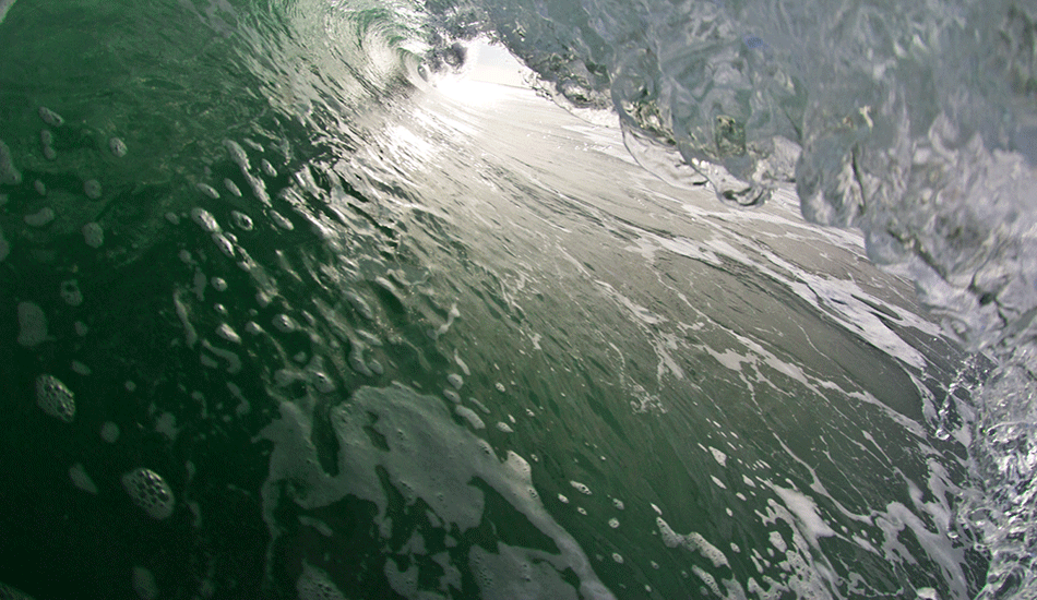 Seeking Shelter. Wrightsville Beach, NC. <b>Photo:</b> <a href=\"https://www.chrisfrickphotography.com/\" target=_blank>Chris Frick</a>