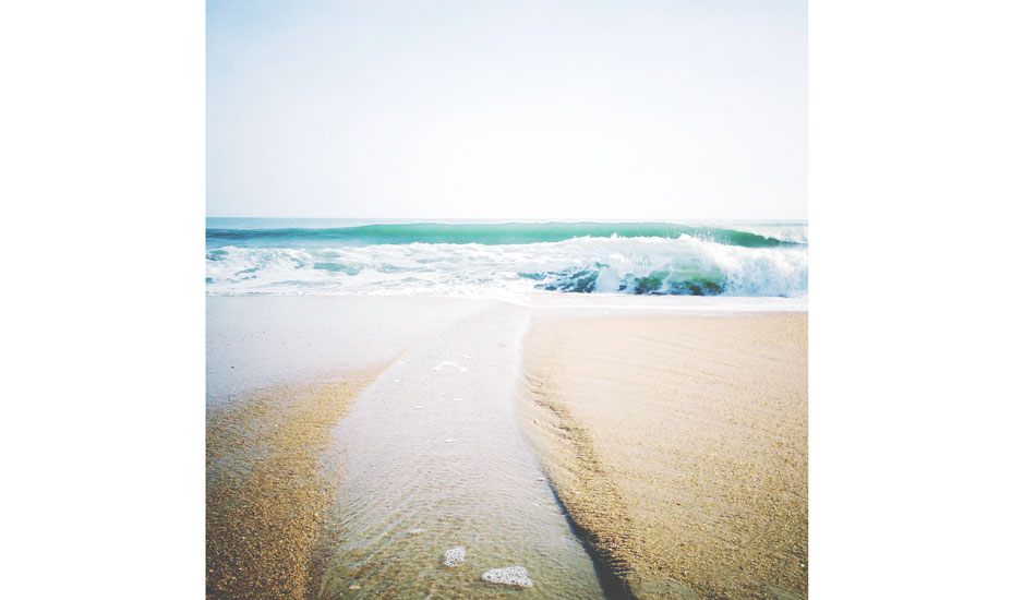 Ocean wonders. Kitty Hawk, NC. Photo: <a href= \"https://instagram.com/matt_beacham/\" target=_blank>Matt Beacham</a>