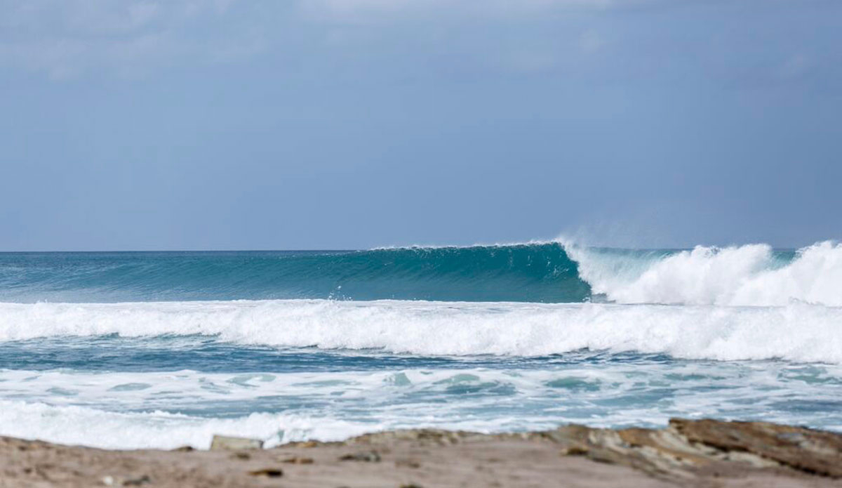 Photo: <a href=\"https://www.benreedphoto.com/\">Ben Reed</a>/<a href=\"https://instagram.com/isasurfing\">ISA</a>