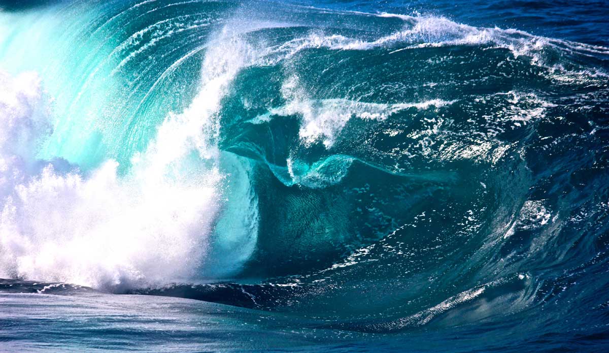 Blue plate special. Photo: <a href=\"https://oshanographyphoto.squarespace.com/home\">Jarod O\'Shannessy</a>