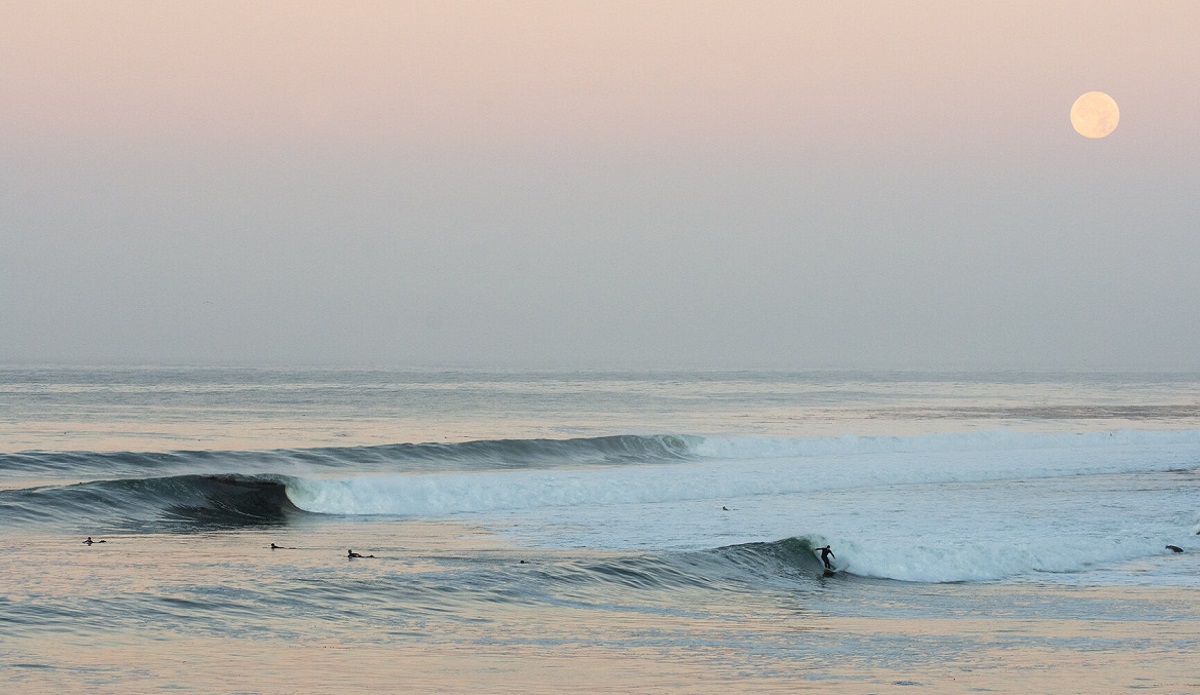 Photo: <a href=\"https://www.instagram.com/p/CKZqR_EHF9O/\" rel=\"noopener\" target=\"_blank\">Jack Bober</a>
