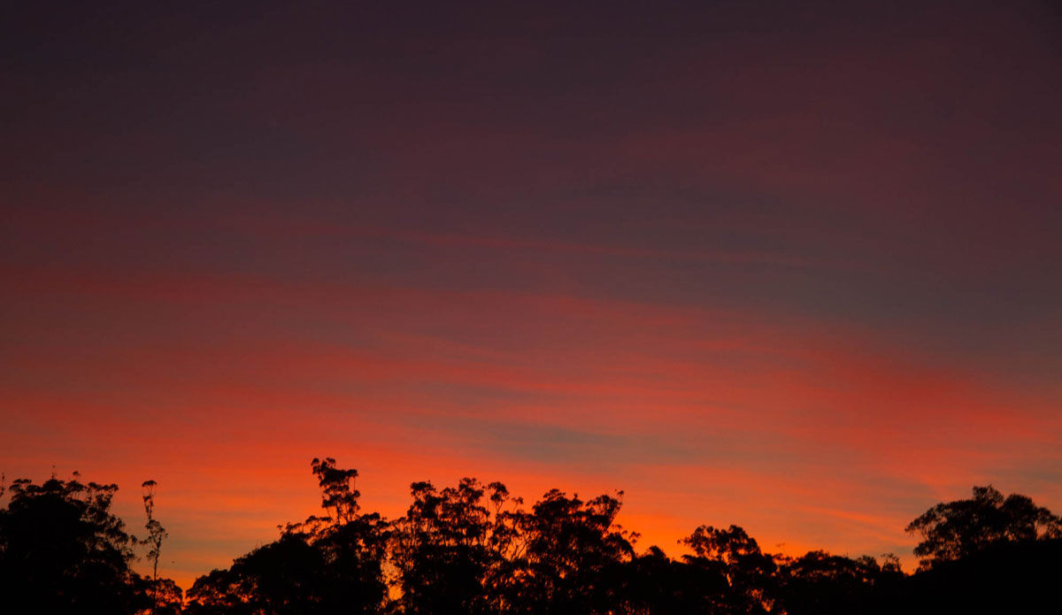 Photo:<a href=\"https://instagram.com/jackgorephoto/\"> Jack Gore</a>