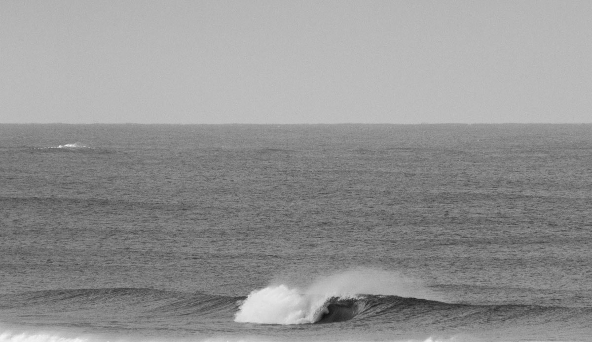 Photo:<a href=\"https://instagram.com/jackgorephoto/\"> Jack Gore</a>