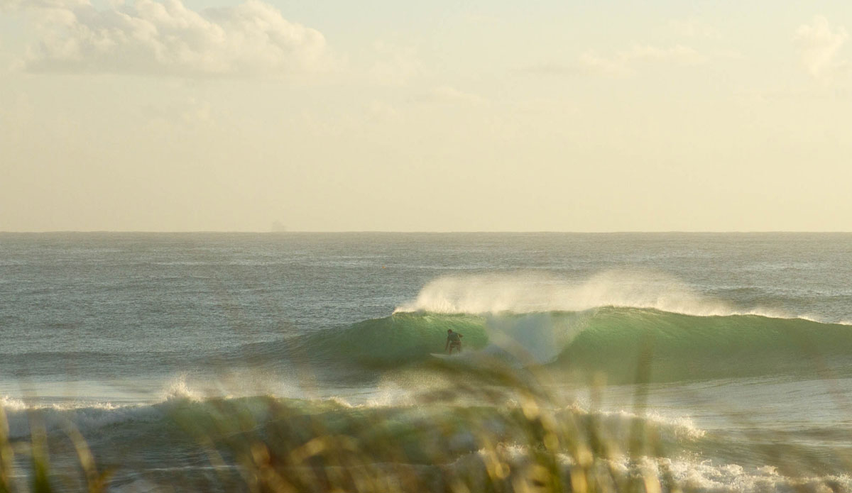 Photo:<a href=\"https://instagram.com/jackgorephoto/\"> Jack Gore</a>