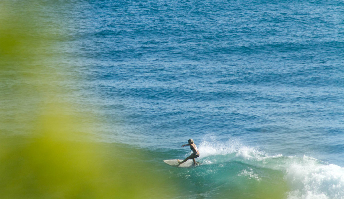 Photo:<a href=\"https://instagram.com/jackgorephoto/\"> Jack Gore</a>