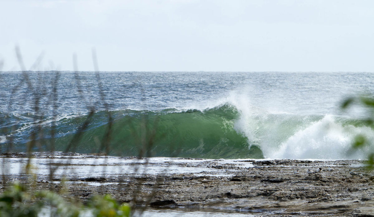 Photo:<a href=\"https://instagram.com/jackgorephoto/\"> Jack Gore</a>