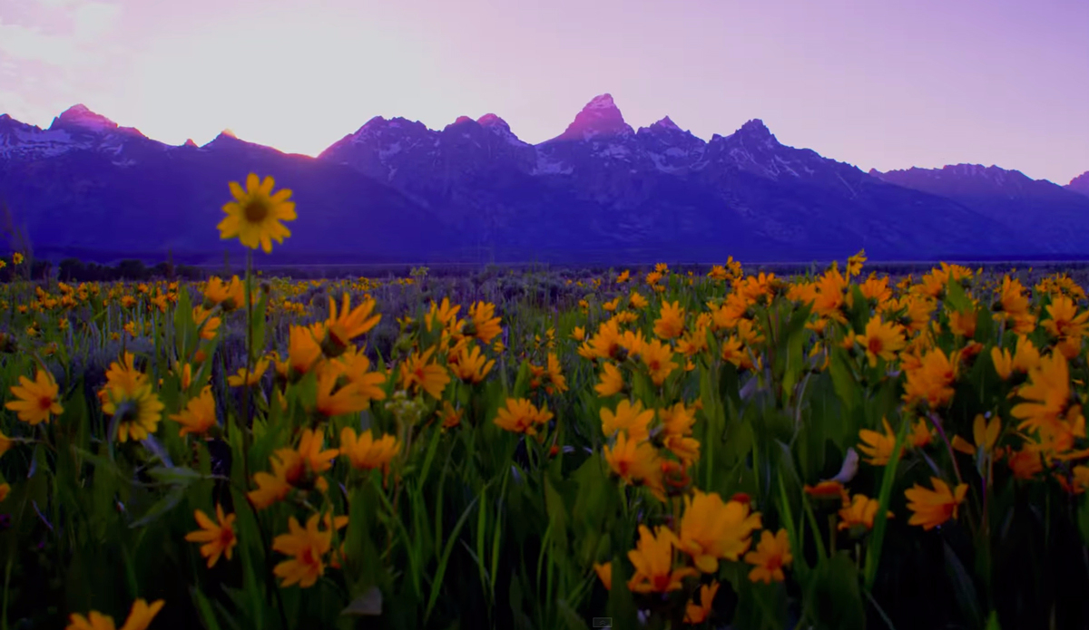 Screenshot: <a href=\"https://www.youtube.com/watch?v=sdJQF0fOOfU\">Jackson Hole</a>