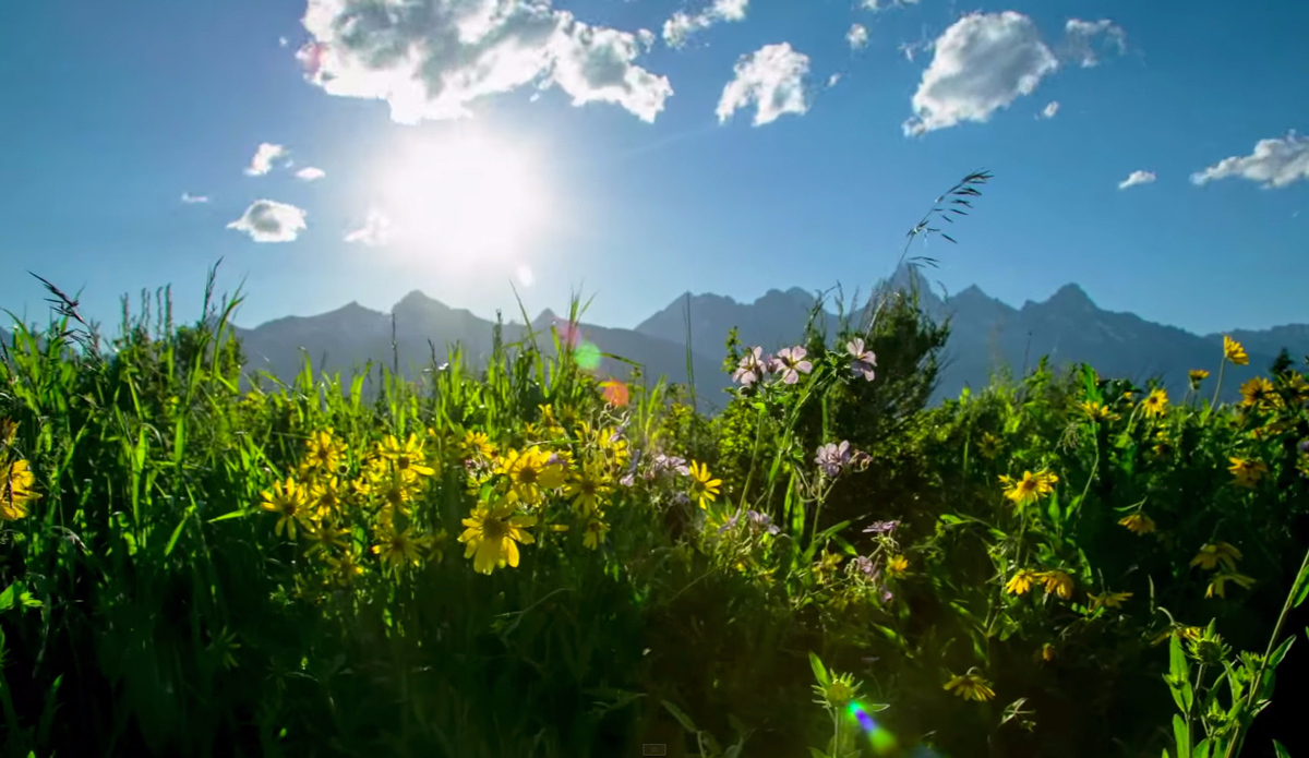 Screenshot: <a href=\"https://www.youtube.com/watch?v=sdJQF0fOOfU\">Jackson Hole</a>