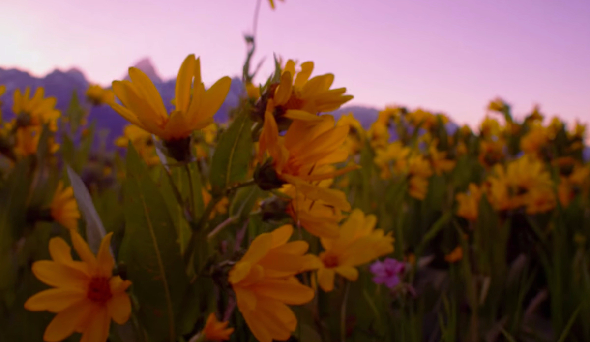 Screenshot: <a href=\"https://www.youtube.com/watch?v=sdJQF0fOOfU\">Jackson Hole</a>