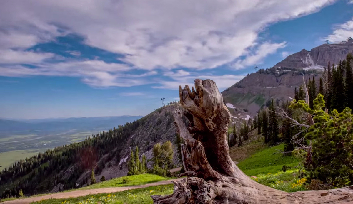 Screenshot: <a href=\"https://www.youtube.com/watch?v=sdJQF0fOOfU\">Jackson Hole</a>