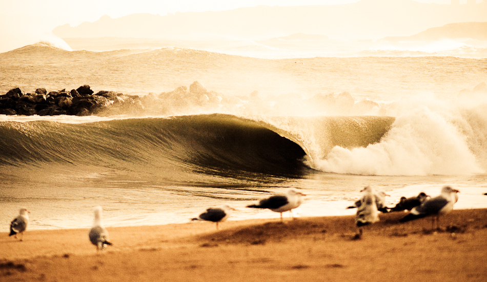 Seagulls are always welcome in the lineup.They are part of the beach and in this case, they were in the perfect place at the perfect time. Photo: <a href=\"https://www.jaiderlozano.com/\" target=_blank>Jaider Lozano</a>