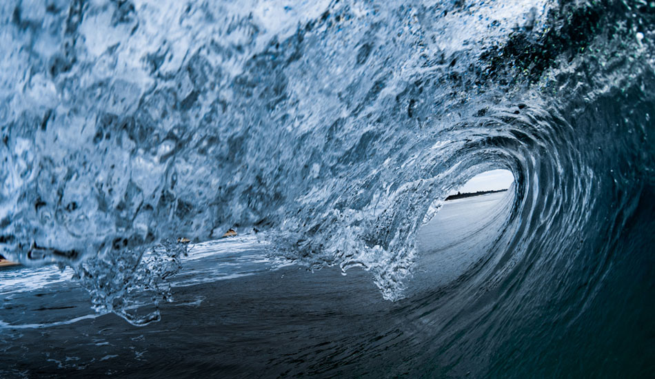 Staring out of the deep blue - Northern NSW coast. Photo: <a href=\"https://jamesrheinbergerphoto.com\">James Rheinberger</a>