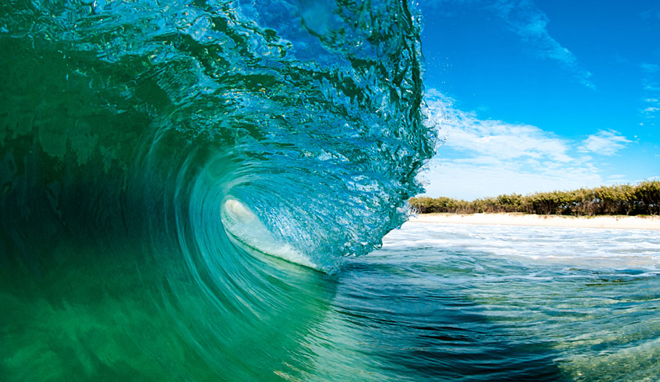 Fantail - Northern NSW coast. Photo: <a href=\"https://jamesrheinbergerphoto.com\">James Rheinberger</a>