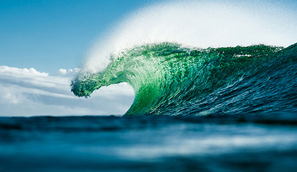 Backlit Gem - D\'Bah. Photo: <a href=\"https://jamesrheinbergerphoto.com\">James Rheinberger</a>