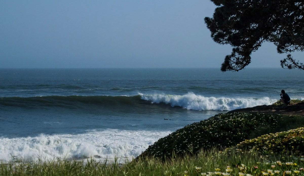 Spring time in Santa Cruz. Photo: <a href=\"https://instagram.com/jaminbarnes\" target=\"_blank\"> Jamin Barnes</a>
