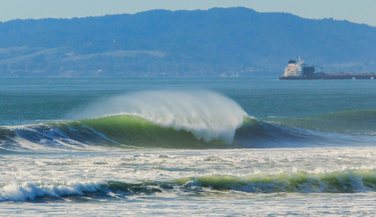 A San Francisco spring. Photo: <a href=\"https://instagram.com/jaminbarnes\" target=\"_blank\"> Jamin Barnes</a>