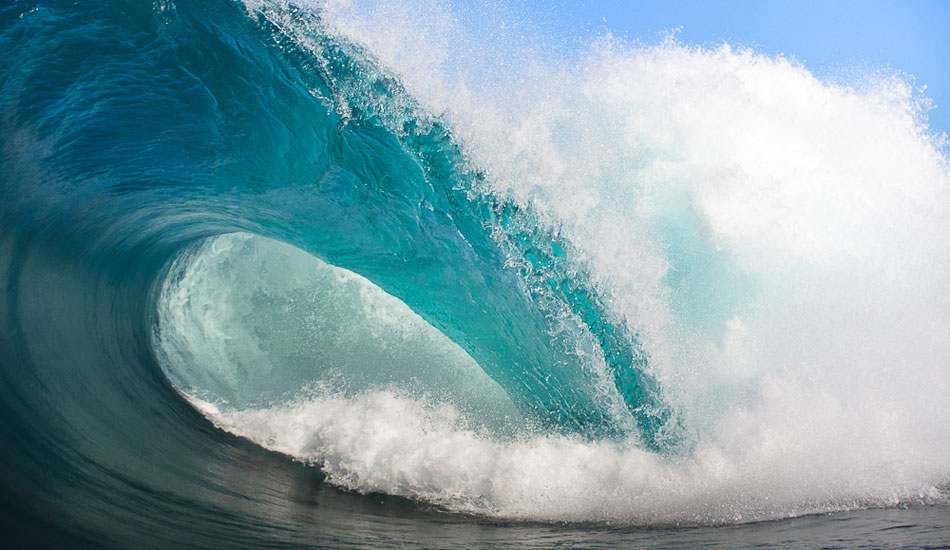 Cape Solander lips. Photo: <a href= \"https://www.jasoncorrotophoto.com/\">Jason Corroto</a>