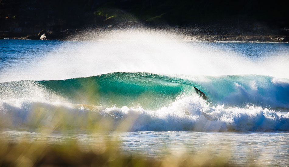 Early morning shine, Whale Beach. Photo: <a href= \"https://www.jasoncorrotophoto.com/\">Jason Corroto</a>