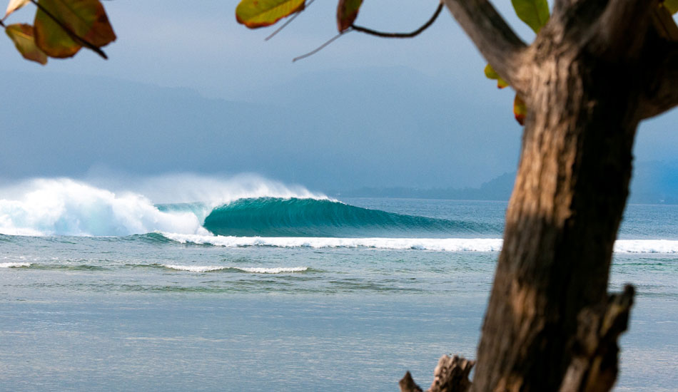 Indo freight trains. Photo: <a href= \"https://www.jasoncorrotophoto.com/\">Jason Corroto</a>