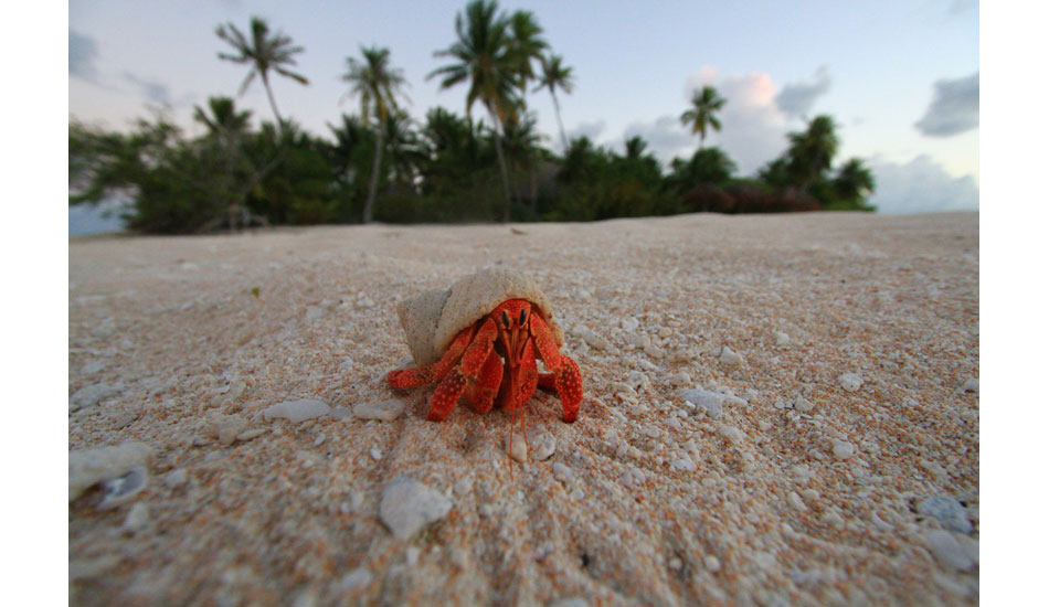Colorful local. Photo: Jason Naudé
