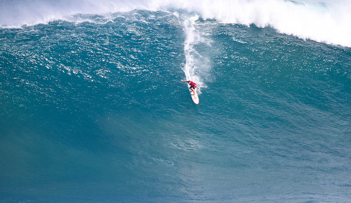 Aaron Gold. Photo: Aaron Lynton //
@aaronlynton