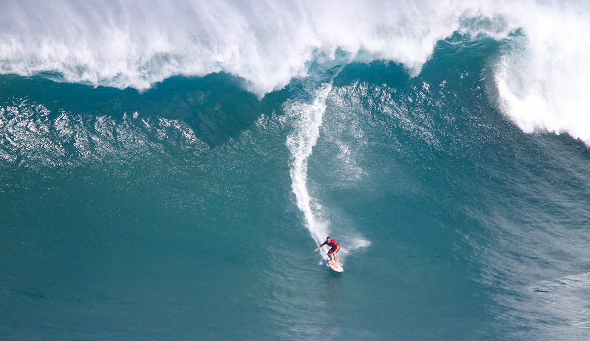 Aaron Gold. Photo: Aaron Lynton //
@aaronlynton