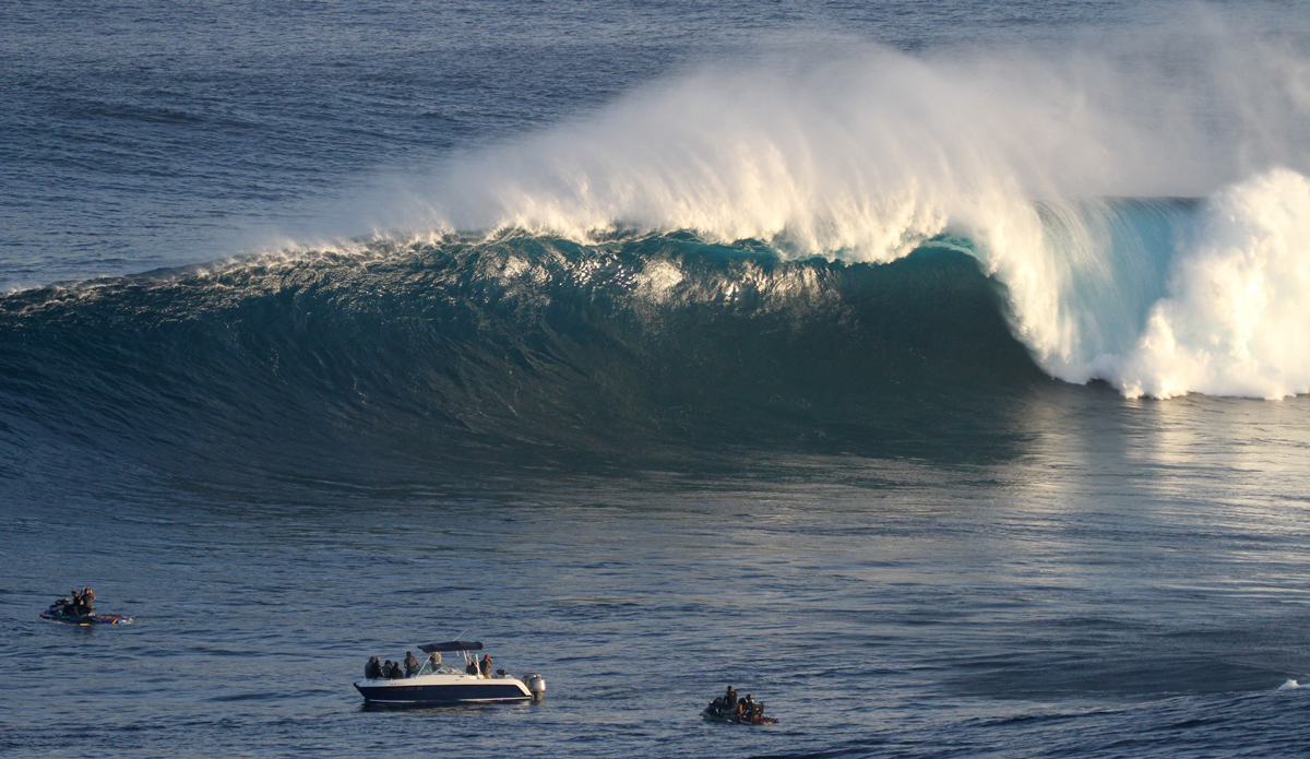 Jaws\' teeth. Photo By: Aaron Lynton