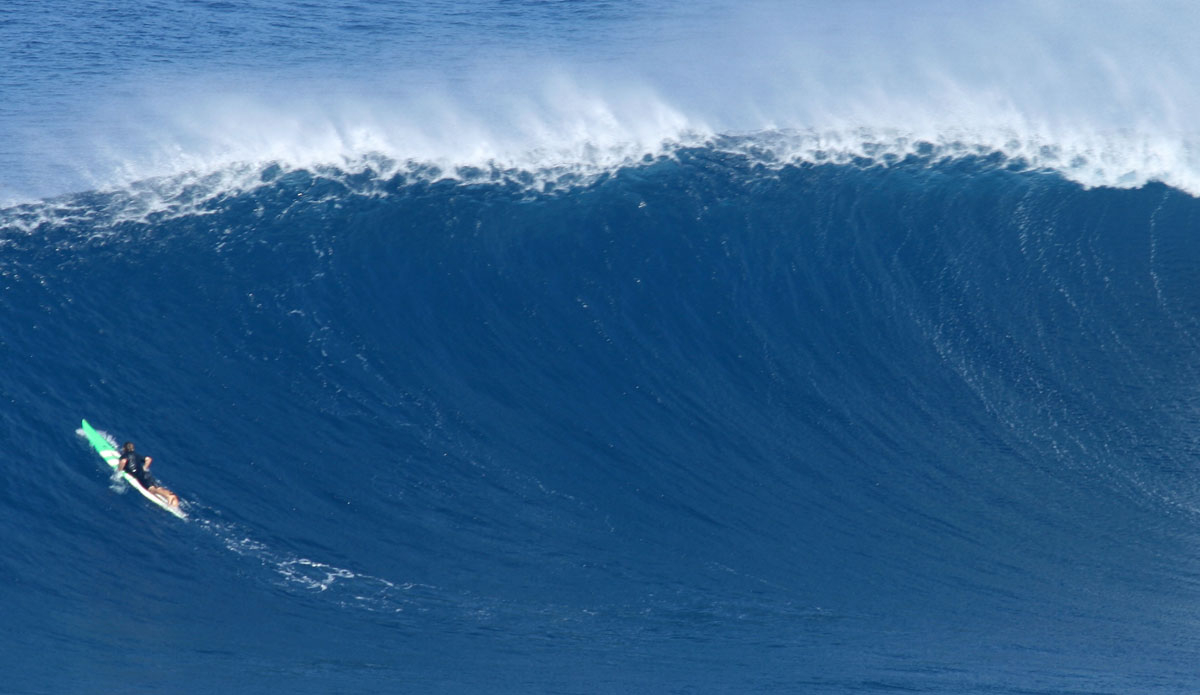 Scratching up a wall. Photo:<a href=\"https://instagram.com/shannonreporting/\">Shannon Marie</a>